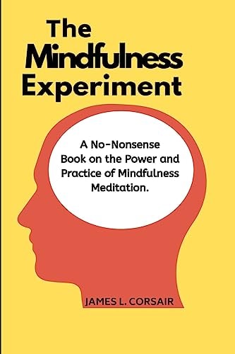 Mindfulness: the Mindfulness Experiment A No-Nonsense Book on Mindfulness - One Man's Journey in Learning How to Chill Out, Be Happy and Live in the Moment!