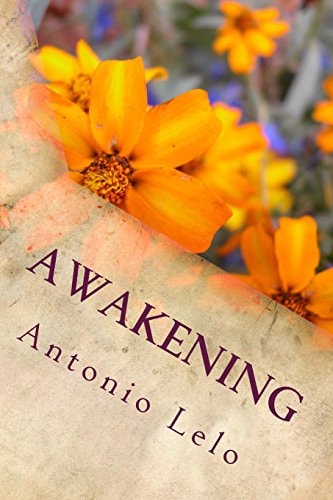 Awakening You And The World