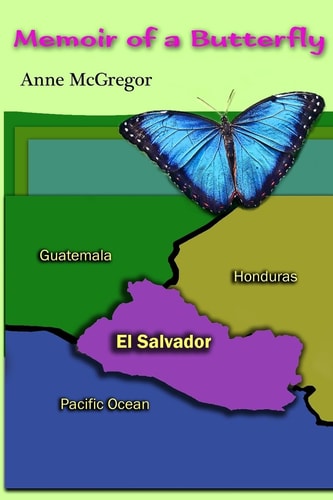 Memoir of a Butterfly Historical Fiction