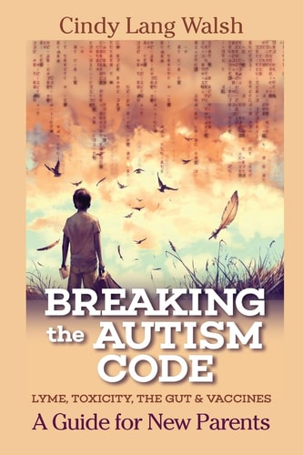 Breaking The Autism Code A Guide for New Parents: Lyme, Toxicity The Gut and Vaccines