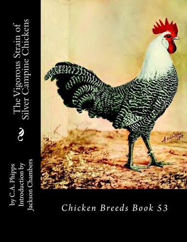 The Vigorous Strain of Silver Campine Chickens Chicken Breeds Book 53