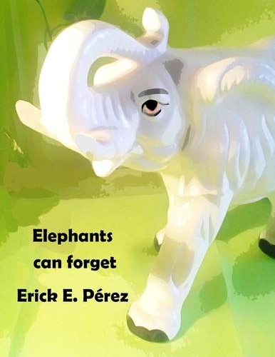 Elephants Can Forget
