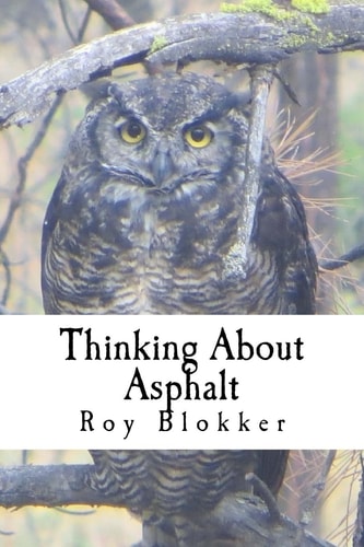 Thinking About Asphalt Musings on Life, the Universe, and Everything