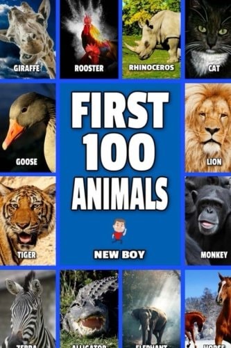First 100 Animals Full Color Animal Book