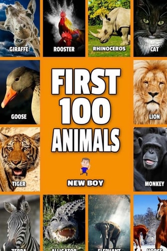 First 100 Animals Full Color Animals Book