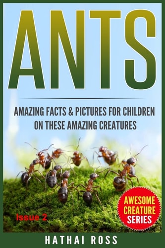 Ants Amazing Facts & Pictures for Children on These Amazing Creatures