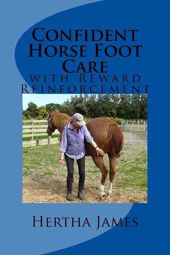 Confident Horse Foot Care With Reward Reinforcement