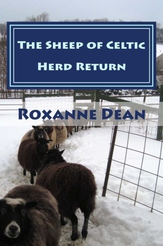 The Sheep of Celtic Herd Return Ewe Are Still Thinking? Aren't Ewe?