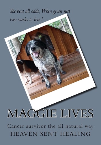 Maggie Lives Cancer Surviver the All Natural Way
