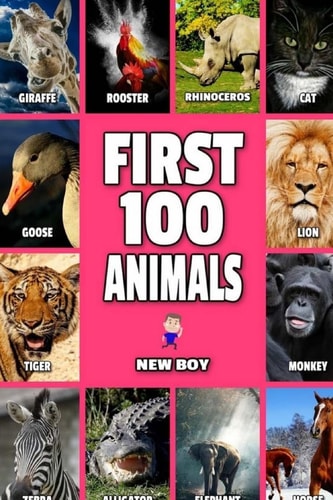 First 100 Animals Full Color Animals Book
