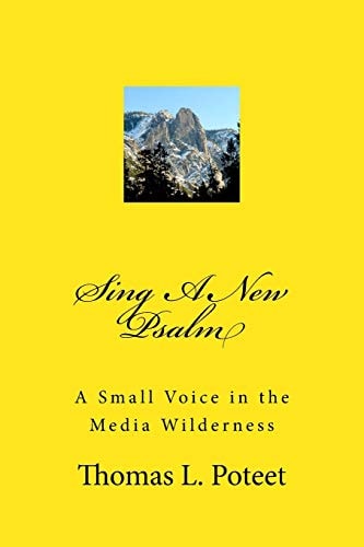 Sing a New Psalm A Small Voice in the Media Wilderness