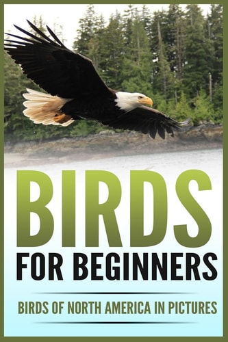 Birds for Beginners Including 97 Birds of North America in Gorgeous Pictures
