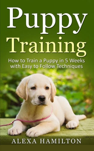 Puppy Training How To Train a Puppy in 5 Weeks With Easy To Follow Techniques