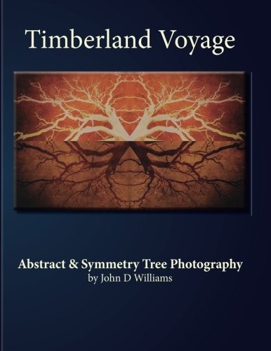 Timberland Voyage Tree Abstract and Symmetry Art Photography