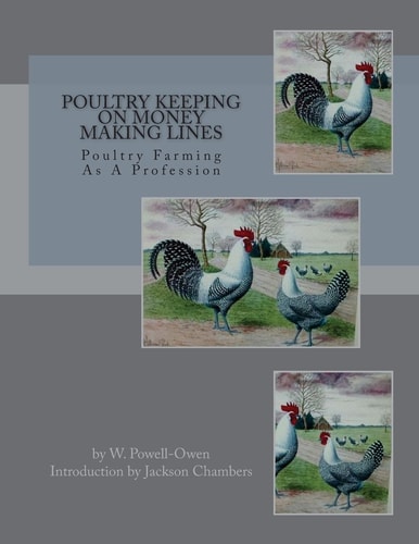 Poultry Keeping on Money Making Lines Poultry Farming As a Profession