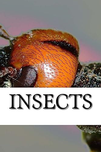 Insects