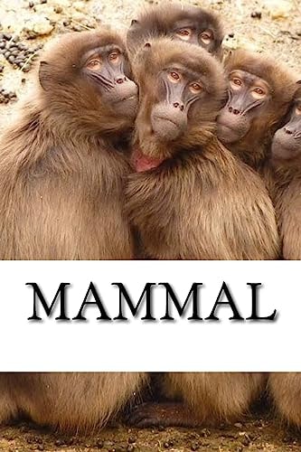 Mammal