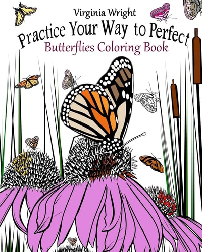 Practice Your Way to Perfect Butterflies Coloring Book
