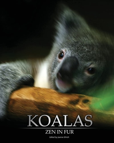 Koalas Zen In Fur (Trade Color Edition)