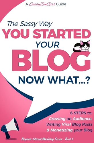 You Started Your Blog - Now What... ?