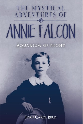 The Mystical Adventures of Annie Falcon Aquarium of Night