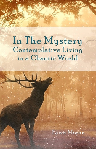 In The Mystery Contemplative Living in a Chaotic World