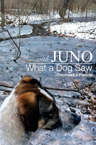 ... with Juno What a Dog Saw
