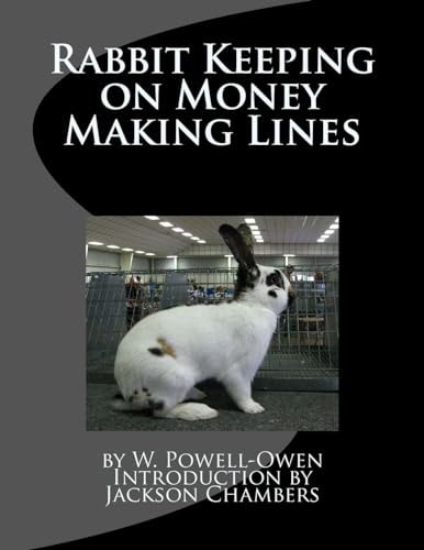 Rabbit Keeping on Money Making Lines