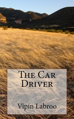 The Car Driver
