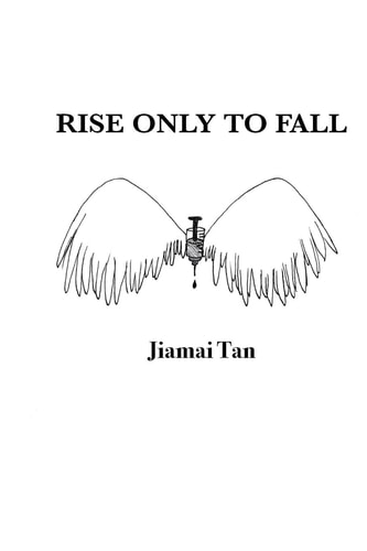 Rise Only to Fall Fictional Novel