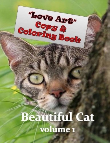 Love Art Copy and Coloring Book Beautiful Cat