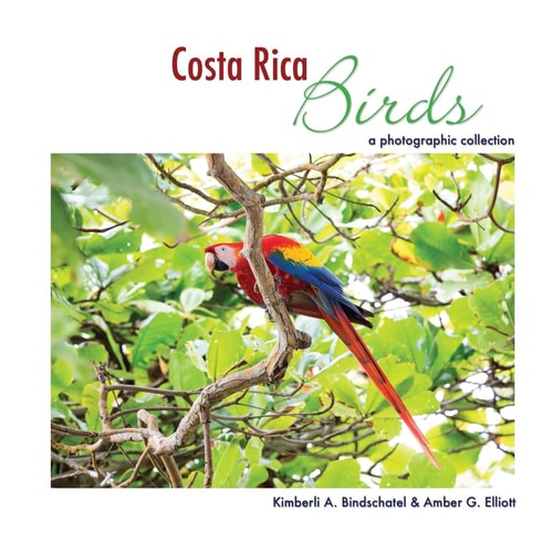 Costa Rica Birds A Photographic Collection