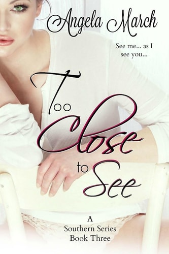 Too Close to See A Southern Series, Book Three