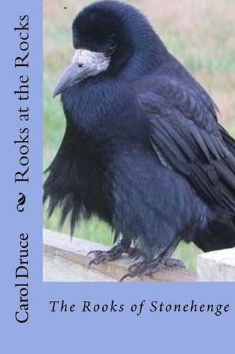 Rooks at the Rocks - the Rooks of Stonehenge
