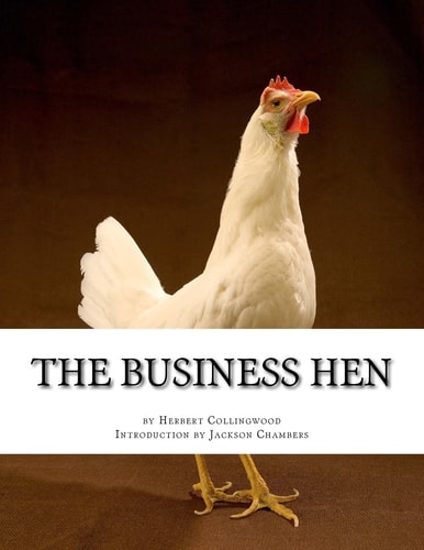 The Business Hen Raising and Breeding Laying Hens