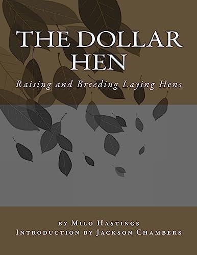 The Dollar Hen Raising and Breeding Laying Hens