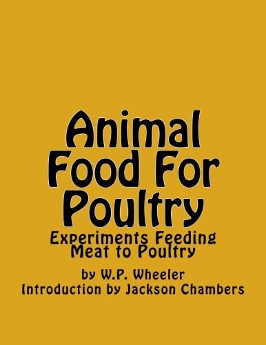 Animal Food For Poultry Experiments Feeding Meat to Poultry