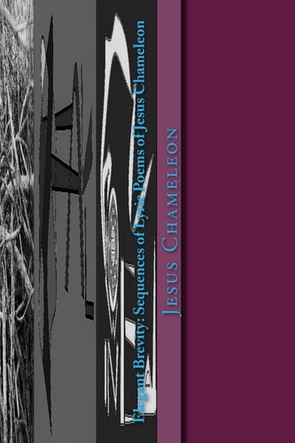 Elegant Brevity: Sequences of Lyric Poems of Jesus Chameleon For Four Seasons and Seven Themes