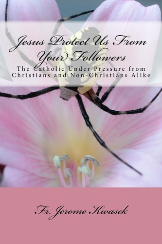Jesus Protect Us From Your Followers "The Catholic Under Pressure from Christians and Non-Christians Alike