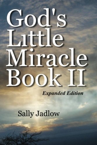 God's Little Miracle Book II