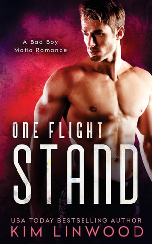 One Flight Stand A Bad Boy's Baby Romance