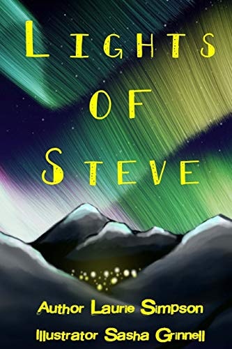 Lights of Steve A Children's Introduction to Having Enough