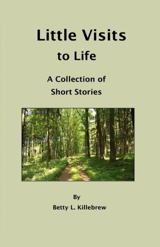 Little Visits to Life A Collection of Short Stories