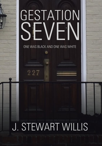 Gestation Seven One Was Black and One Was White