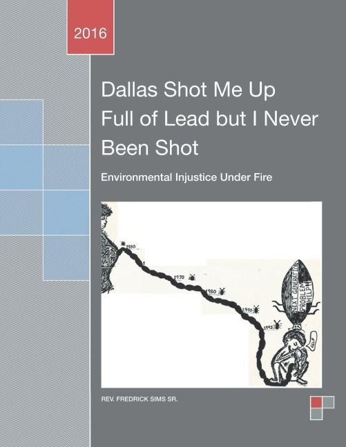 Dallas Shot Me Up Full of Lead but I Never Been Shot: Environmental Injustice Under Fire