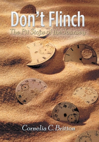 Don't Flinch The Pit Stops of the Journey