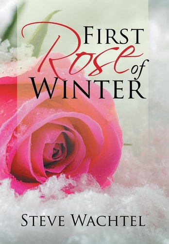 First Rose of Winter