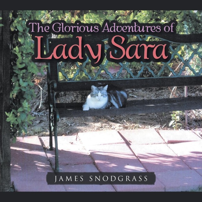The Glorious Adventures of Lady Sara