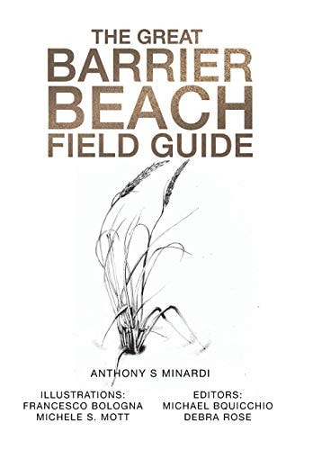 The Great Barrier Beach Field Guide