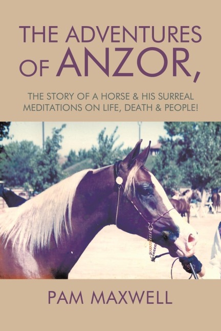 The Adventures of Anzor,: the story of a horse & his surreal meditations on life, death & people!